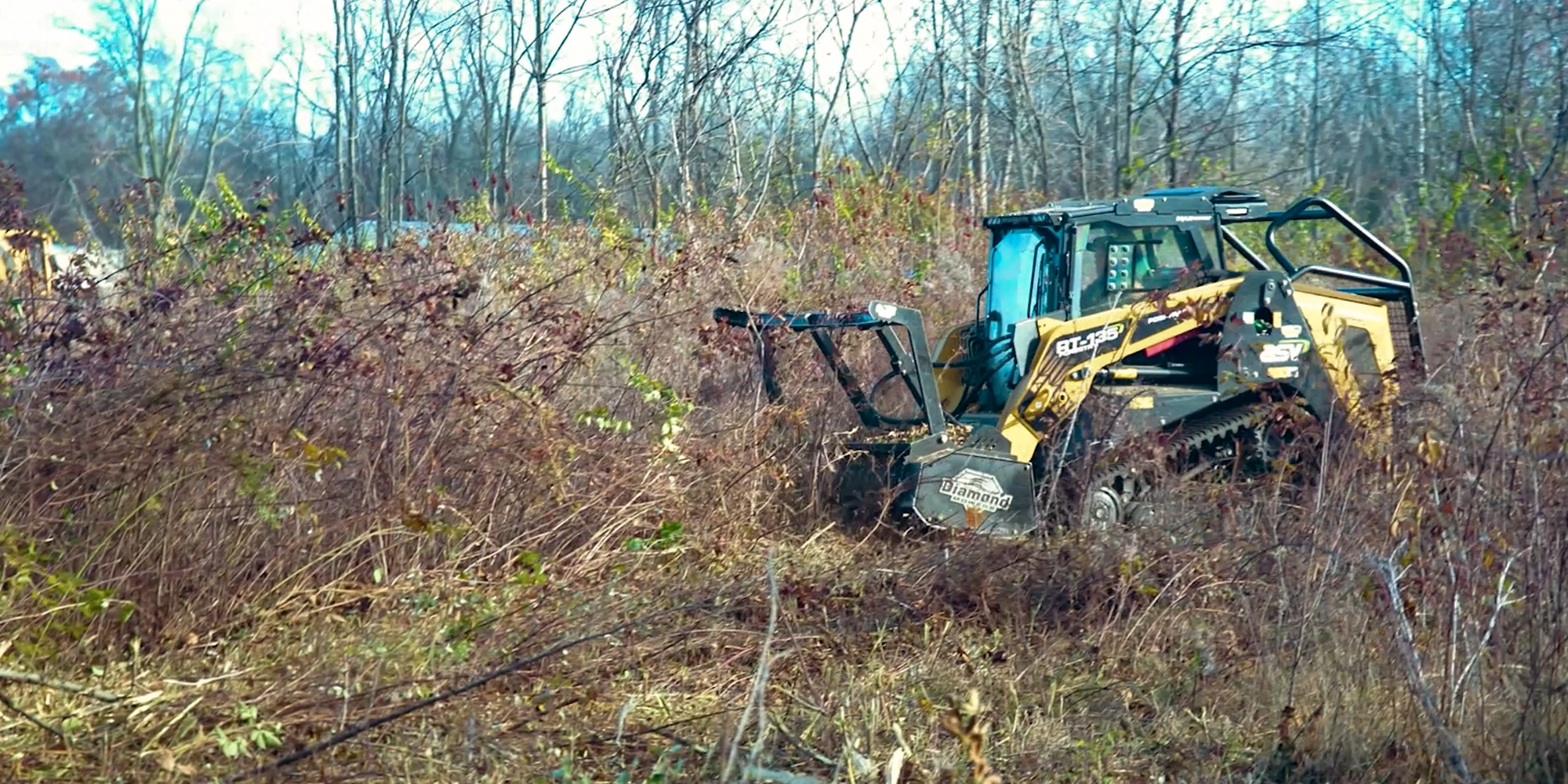 PM-and-sons-forestry-mulching-toledo-ohio